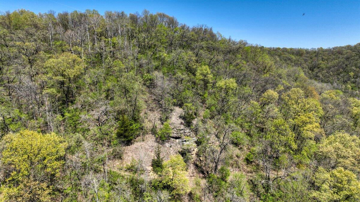 0 State Highway Readstown, WI 54652 - Photo 29 of 119 025-DJI_0683_50