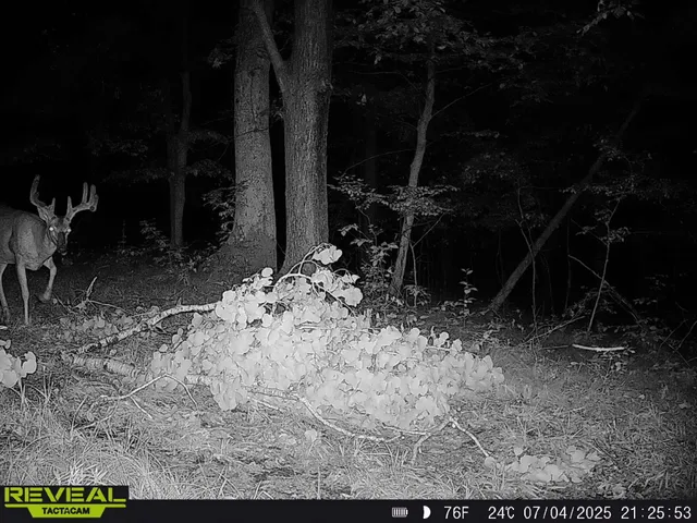 $329,900 | 0 State Highway, Readstown, WI 54652