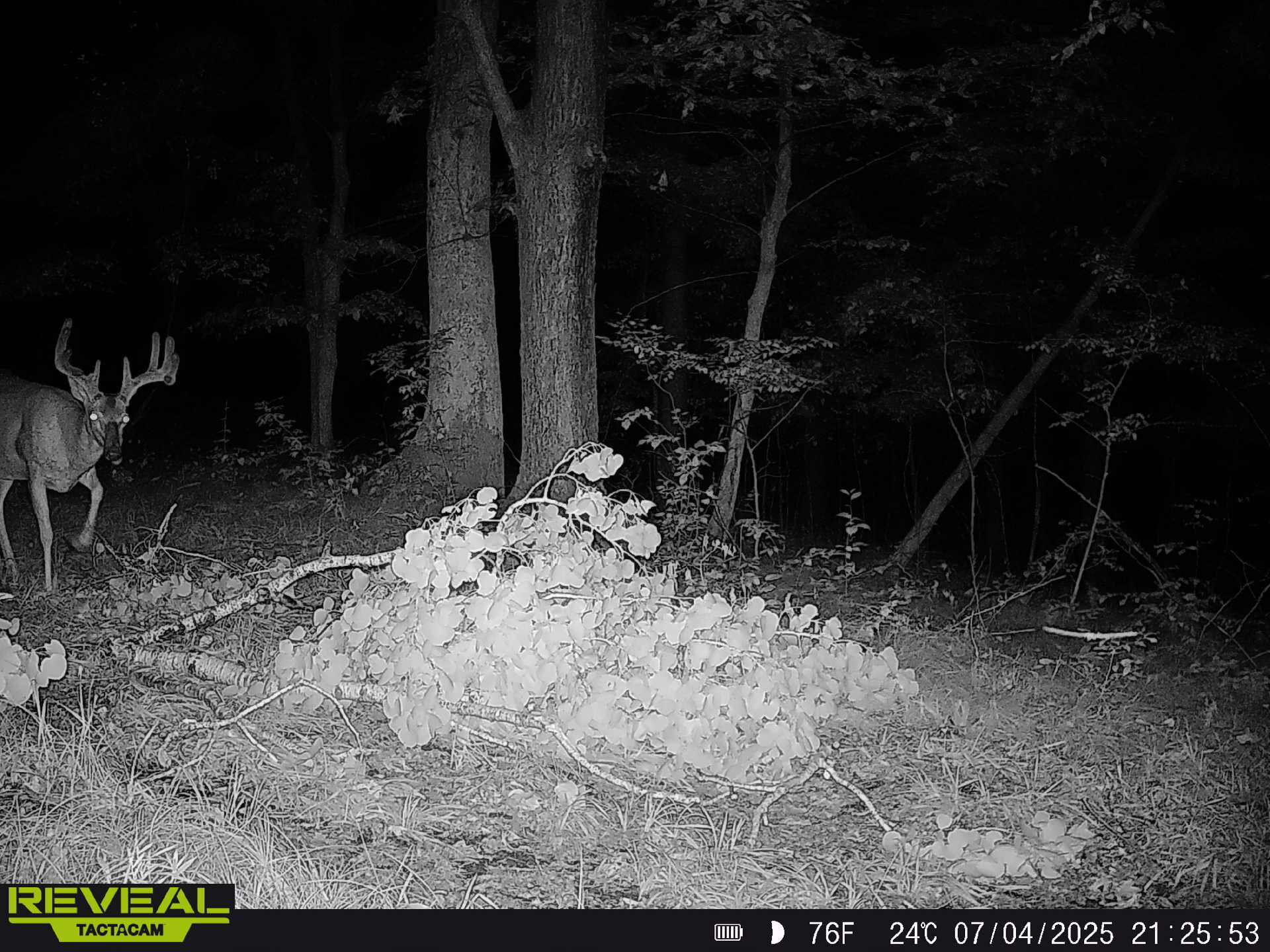 0 State Highway Readstown, WI 54652 - Photo 3 of 119 6a23942f-cf4b-48a4-971f-328ffdae930c-1_a