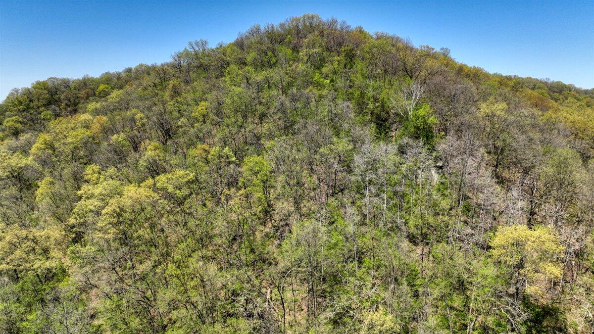 0 State Highway Readstown, WI 54652 - Photo 38 of 119 041-DJI_0485_11