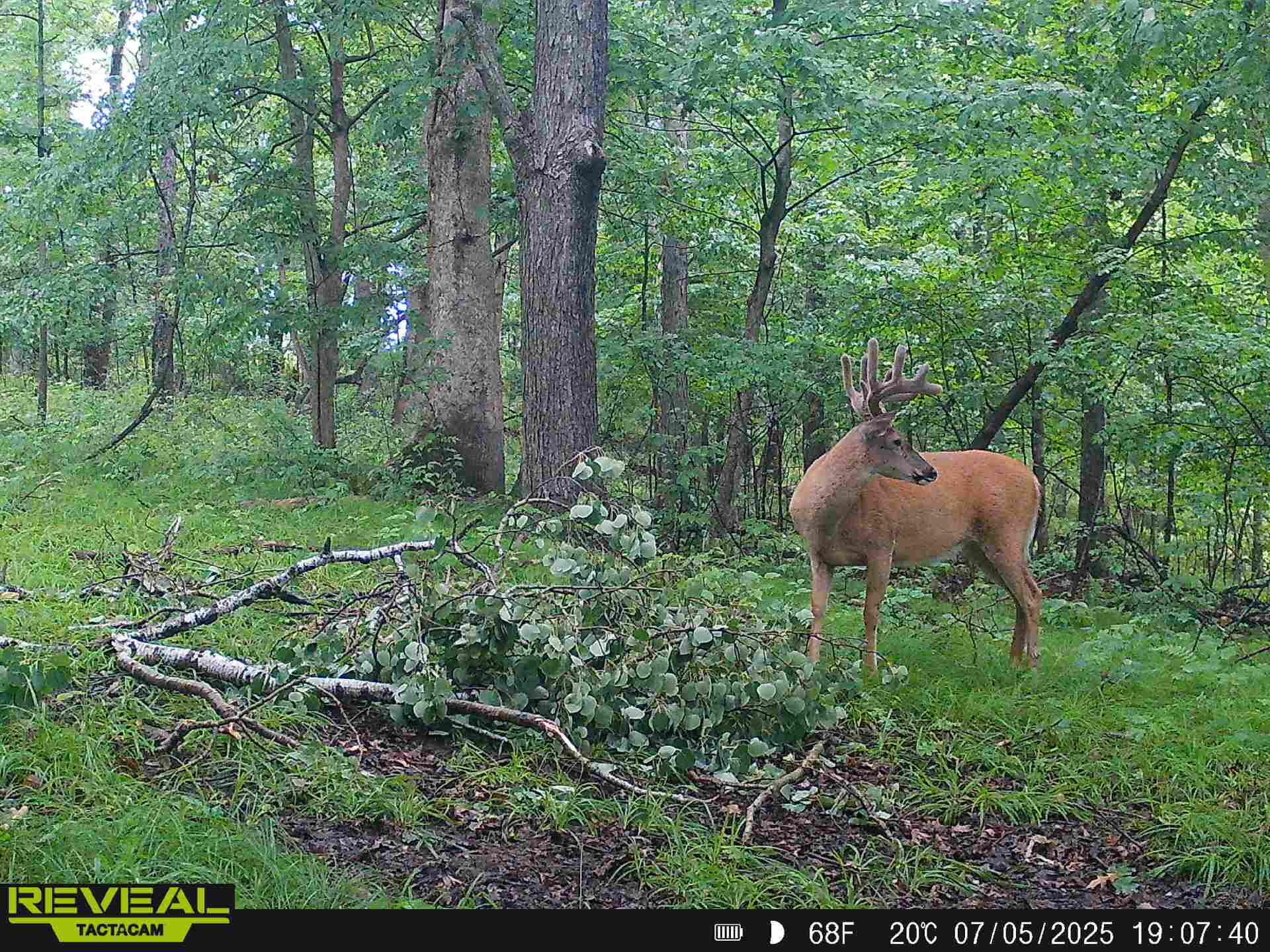 0 State Highway Readstown, WI 54652 - Photo 4 of 119 6a23942f-cf4b-48a4-971f-328ffdae930c-1_a