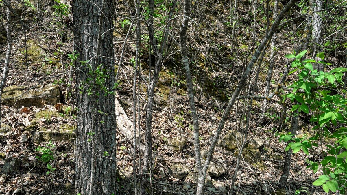 0 State Highway Readstown, WI 54652 - Photo 47 of 119 056-DSC01913_34