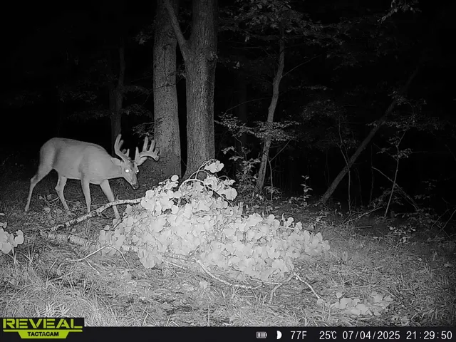 $329,900 | 0 State Highway, Readstown, WI 54652