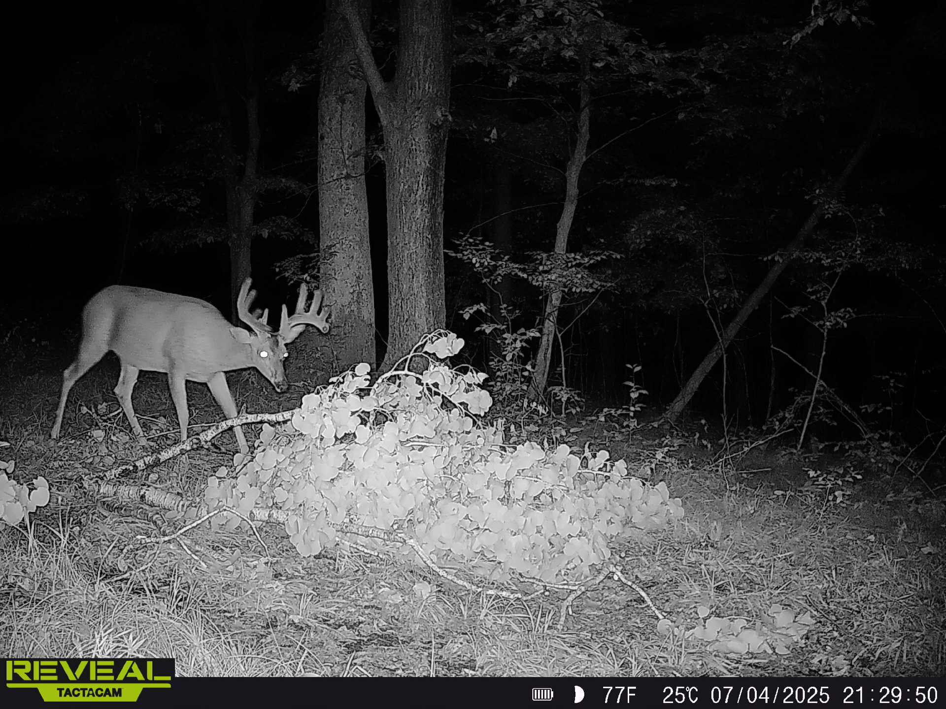 0 State Highway Readstown, WI 54652 - Photo 5 of 119 6a23942f-cf4b-48a4-971f-328ffdae930c-1_a