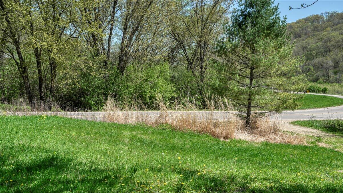 0 State Highway Readstown, WI 54652 - Photo 52 of 119 061-DSC01918_39