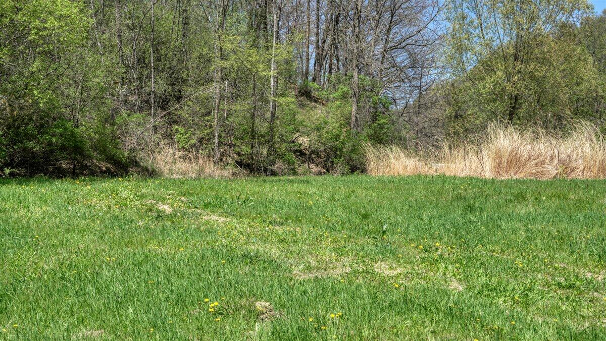 0 State Highway Readstown, WI 54652 - Photo 55 of 119 065-DSC01881_2