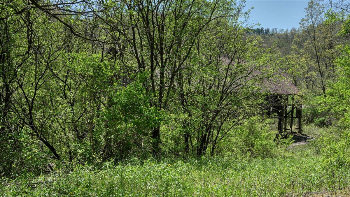 0 State Highway Readstown, WI 54652 - Photo 71 of 119 082-DSC01898_19