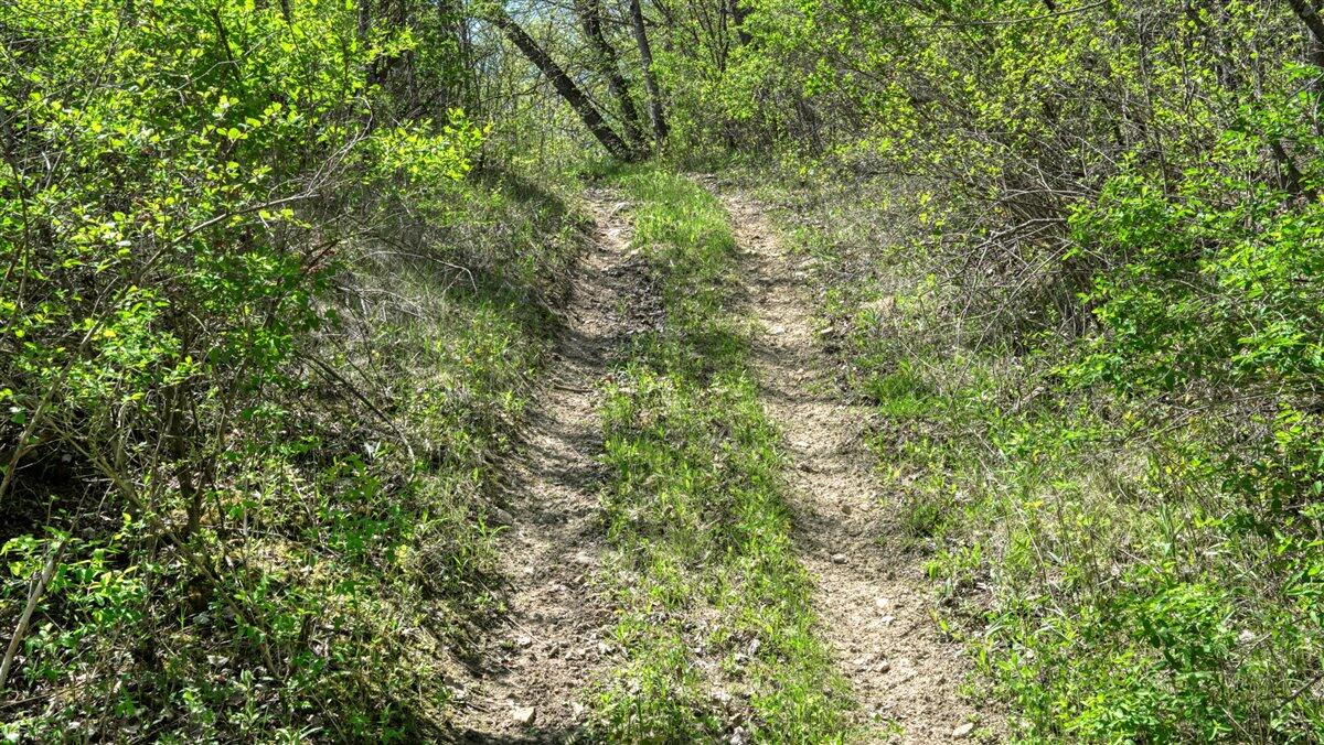 0 State Highway Readstown, WI 54652 - Photo 73 of 119 085-DSC01901_22