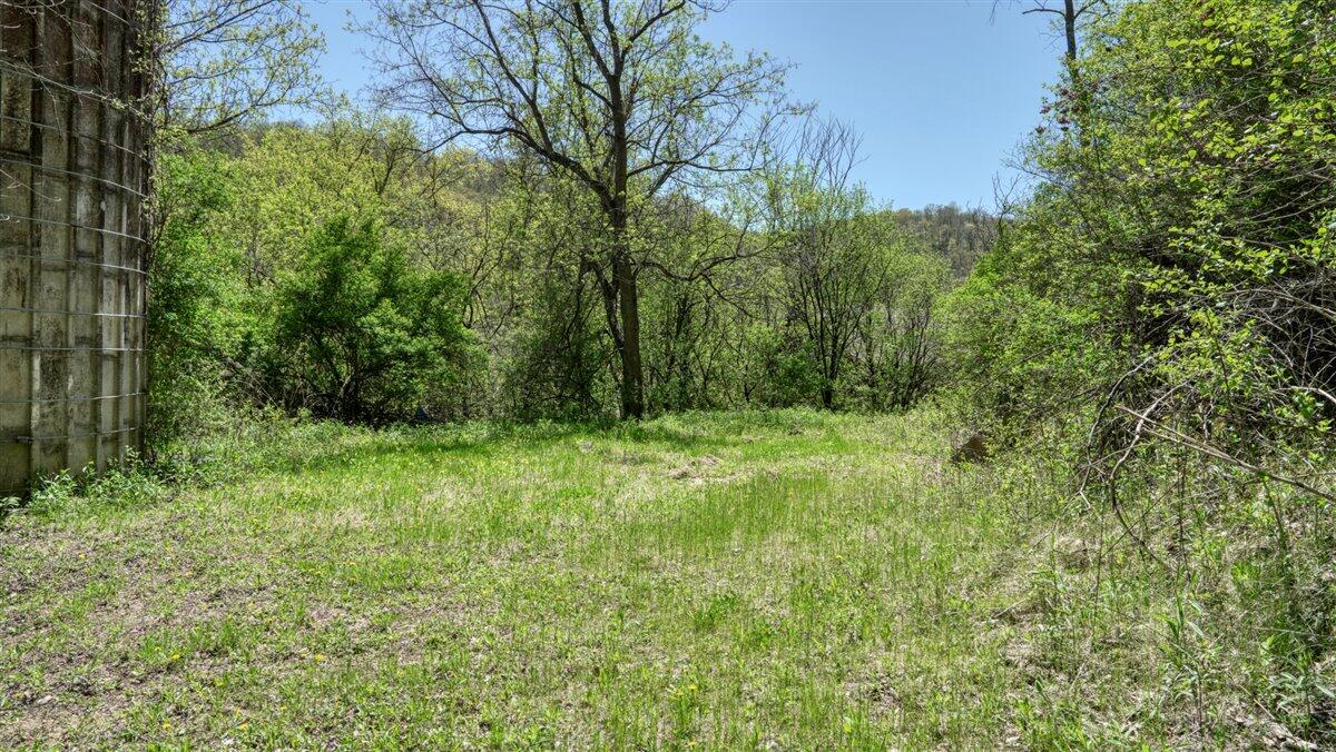 0 State Highway Readstown, WI 54652 - Photo 74 of 119 087-DSC01903_24