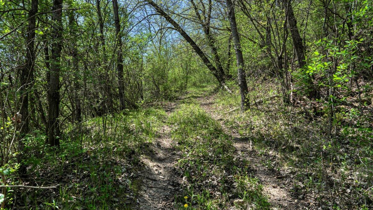 0 State Highway Readstown, WI 54652 - Photo 76 of 119 089-DSC01905_26
