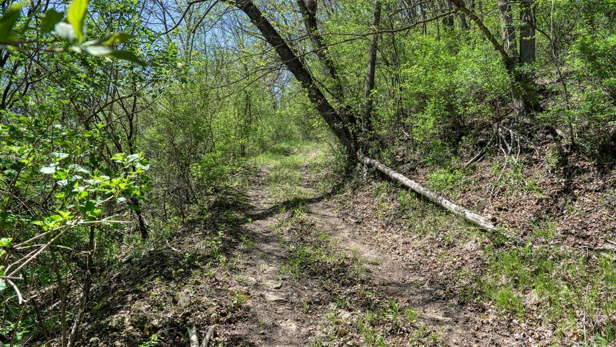 0 State Highway Readstown, WI 54652 - Photo 78 of 119 091-DSC01907_28