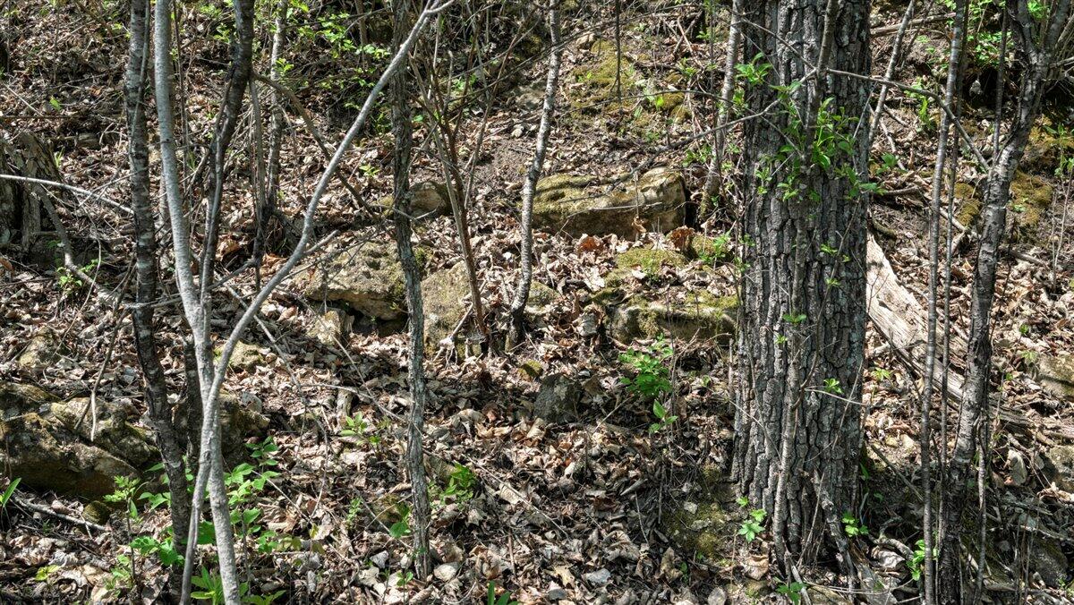 0 State Highway Readstown, WI 54652 - Photo 81 of 119 096-DSC01912_33