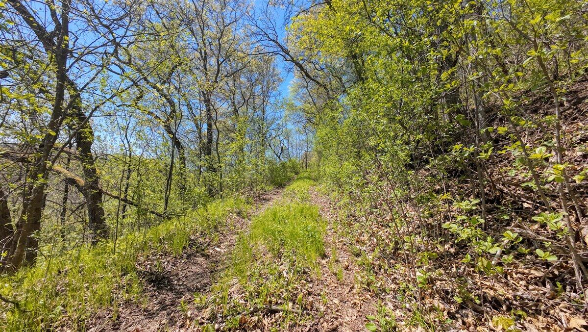 0 State Highway Readstown, WI 54652 - Photo 83 of 119 098-DJI_20250510134847_0063_D_1