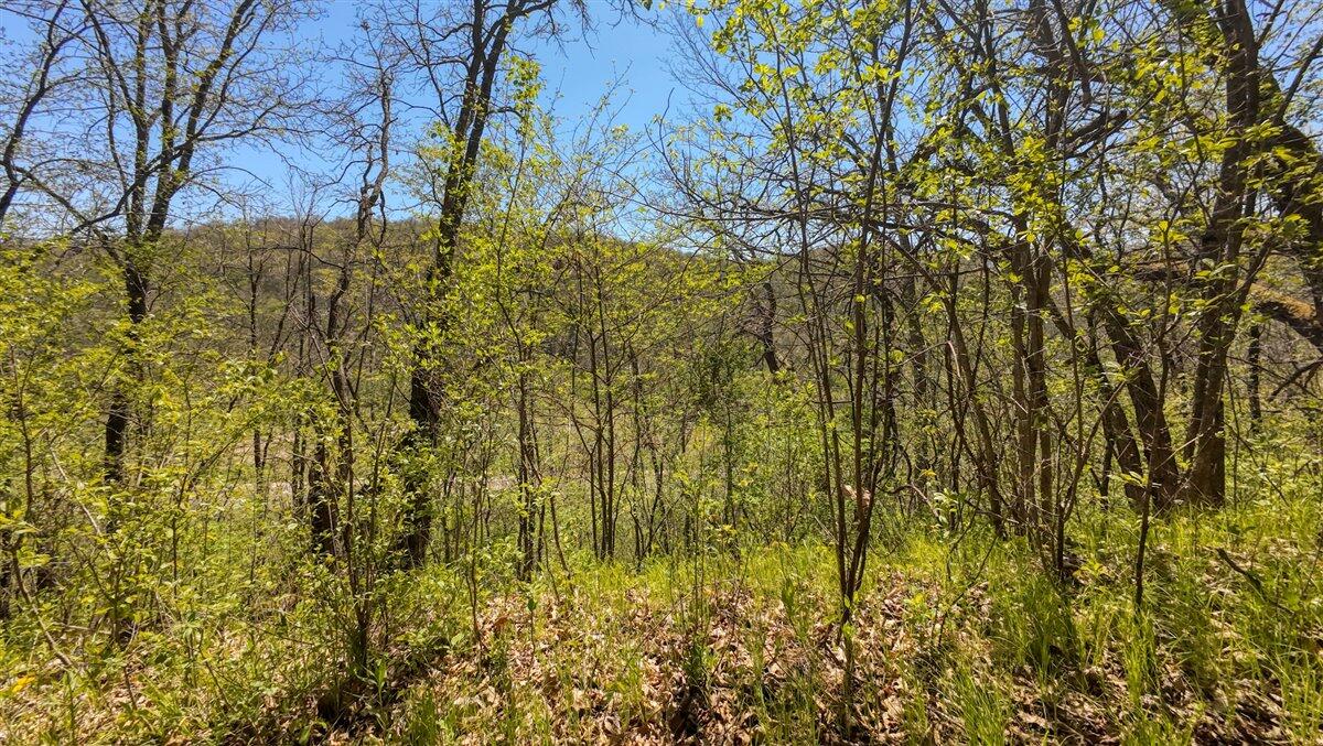 0 State Highway Readstown, WI 54652 - Photo 85 of 119 100-DJI_20250510134856_0065_D_3