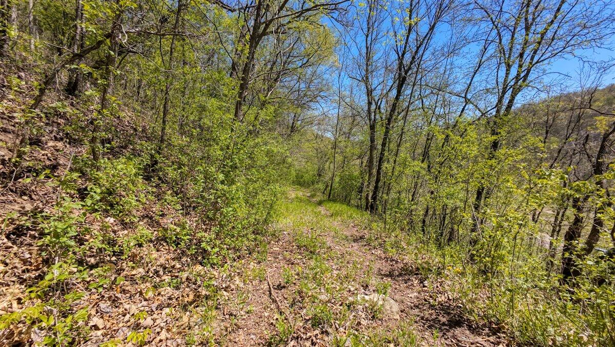 0 State Highway Readstown, WI 54652 - Photo 87 of 119 102-DJI_20250510134904_0067_D_5