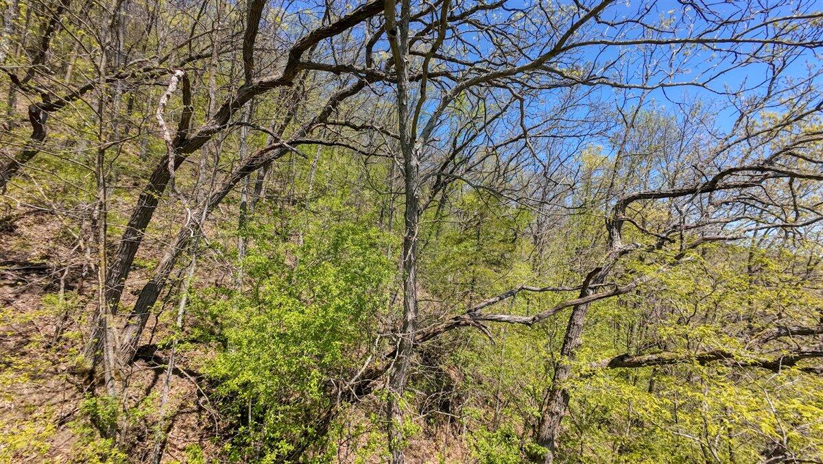 0 State Highway Readstown, WI 54652 - Photo 88 of 119 103-DJI_20250510134933_0068_D_6