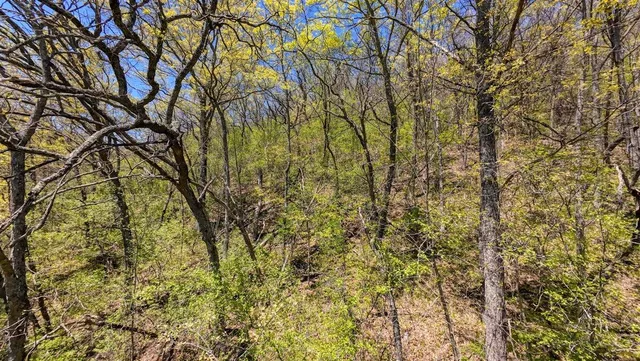 $329,900 | 0 State Highway, Readstown, WI 54652