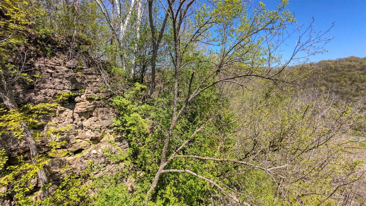 0 State Highway Readstown, WI 54652 - Photo 91 of 119 107-DJI_20250510135253_0074_D_10