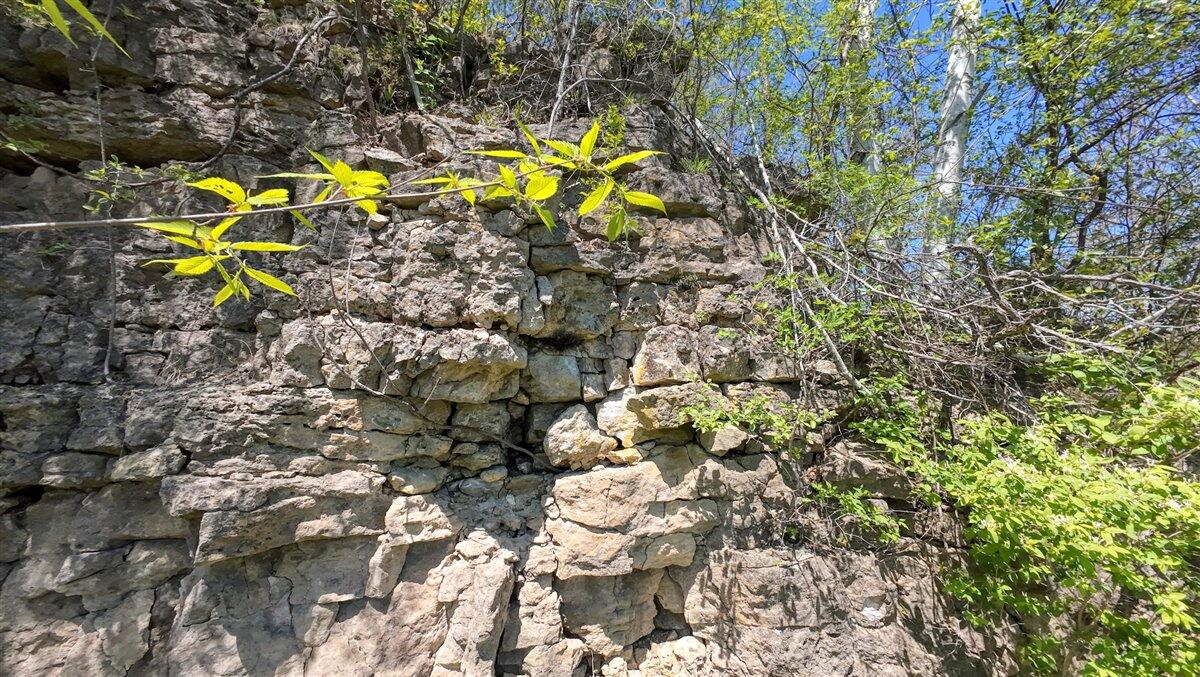 0 State Highway Readstown, WI 54652 - Photo 97 of 119 114-DJI_20250510135419_0082_D_17