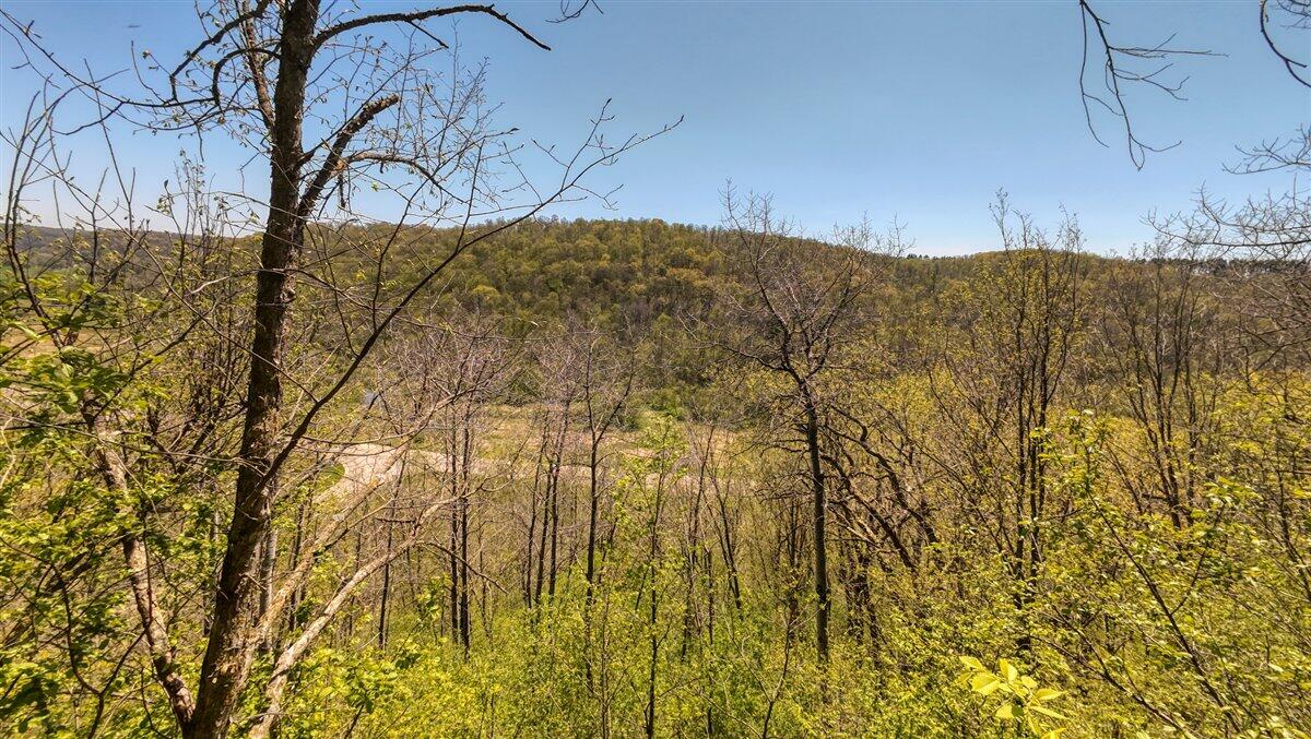 0 State Highway Readstown, WI 54652 - Photo 100 of 119 117-DJI_20250510135432_0085_D_20