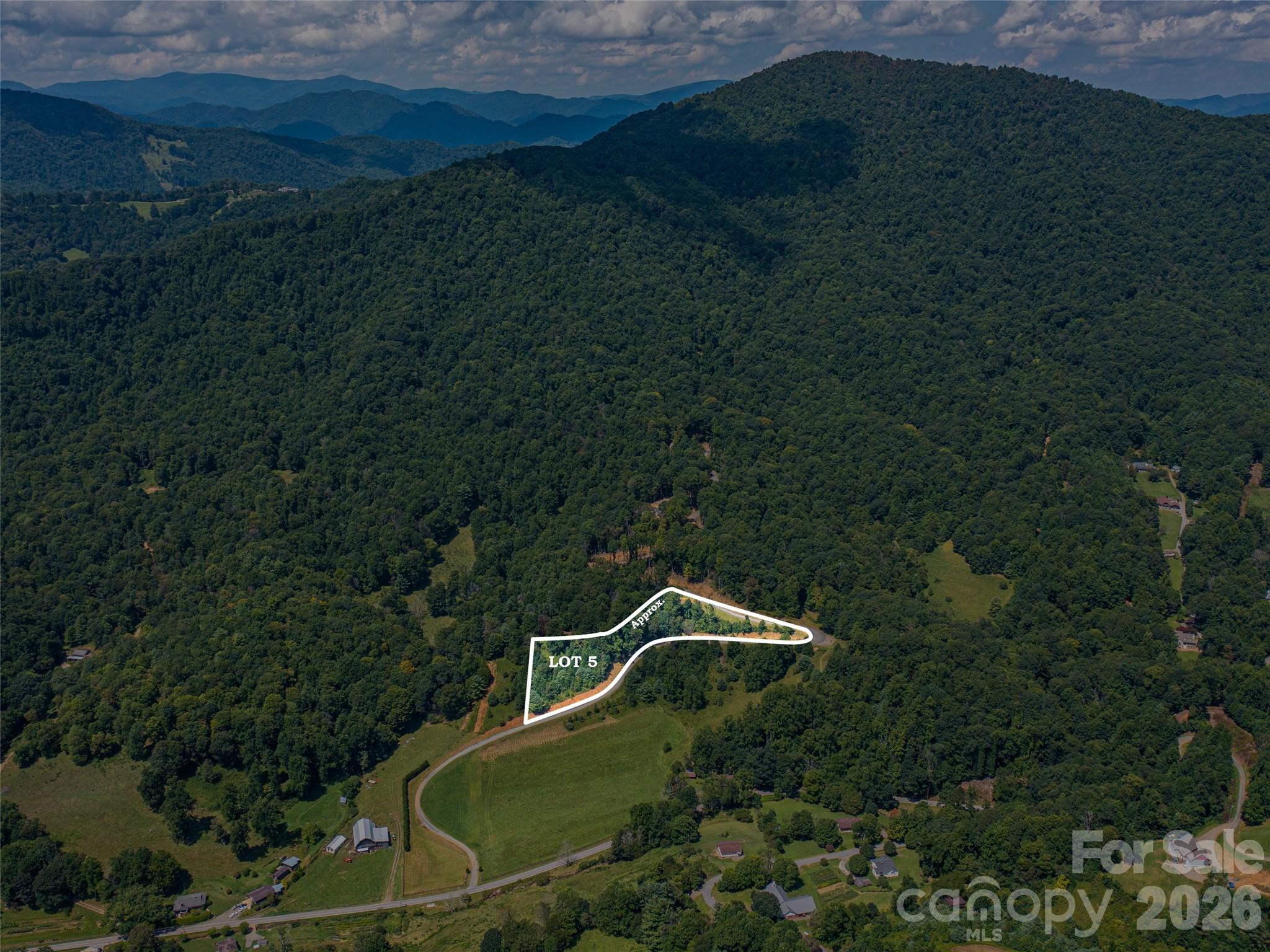 0 Locust Rough Mountain Road, Unit 5 Burnsville, NC 28714 - Photo 1 of 7