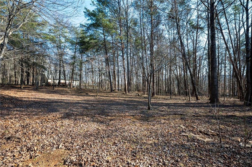 8202 Henderson Mountain Road Jasper, GA 30143 - Photo 9 of 40