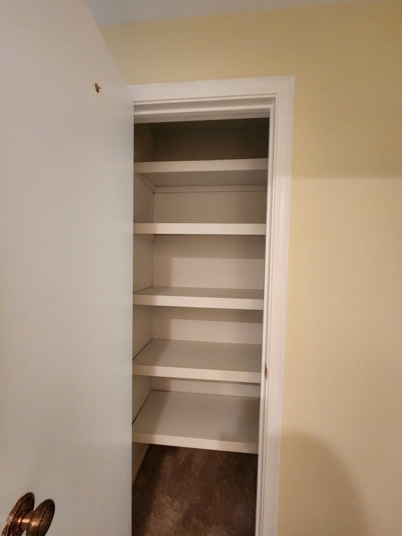 1050 5 South Nelson Avenue, Unit 4 Kankakee, IL 60901 - Photo 22 of 29 a view of an empty walk in closet