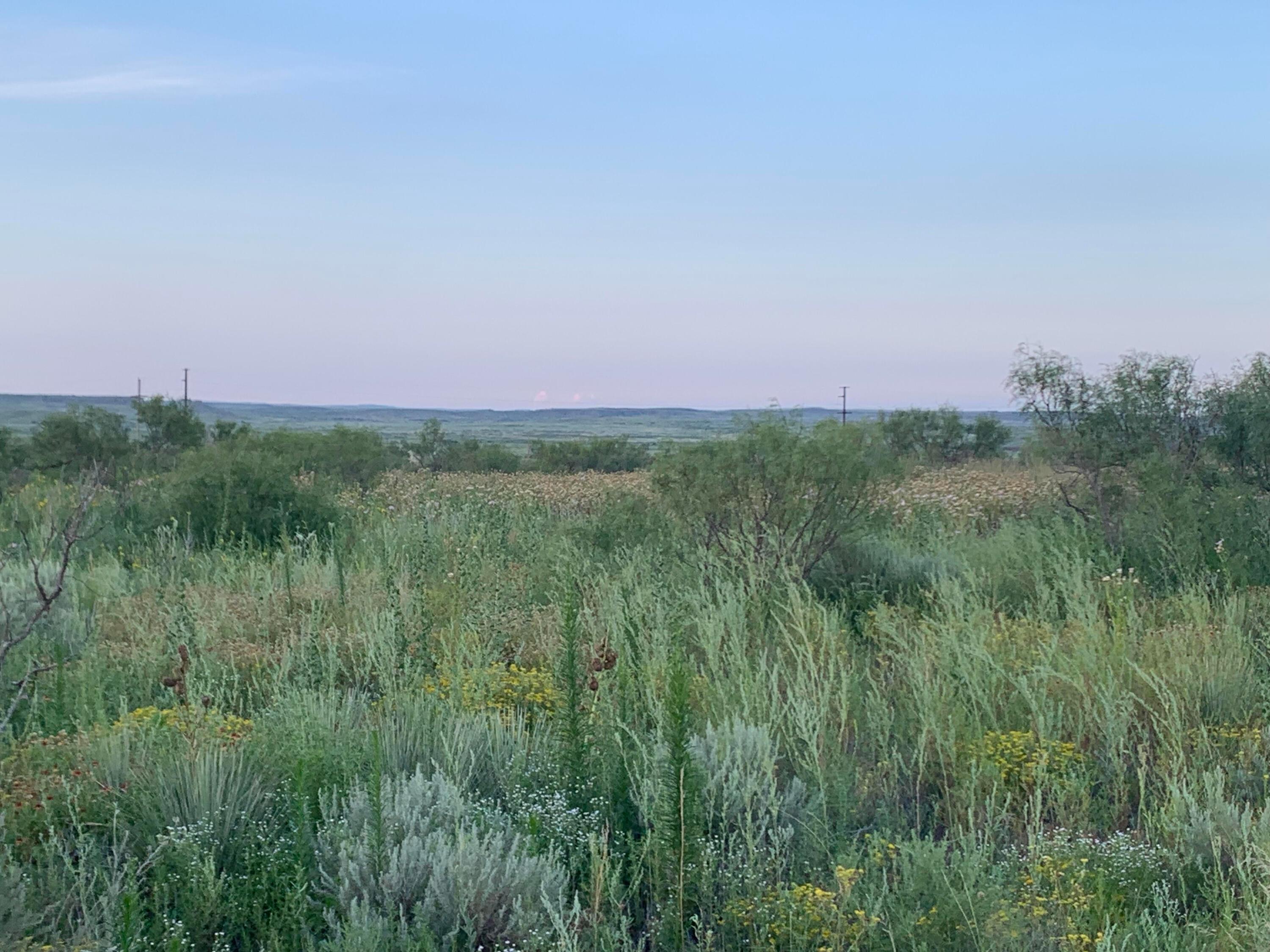 0 Perrins Road Amarillo, TX 79124 - Photo 5 of 10 Perrins 1