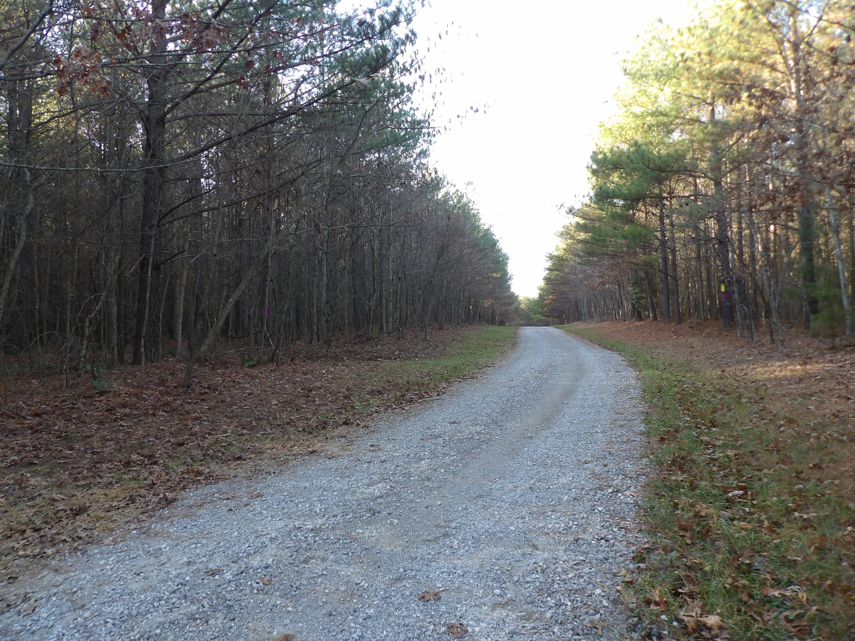 Lot 26 Summercity Road Evensville, TN 37332 - Photo 17 of 20 100_2129