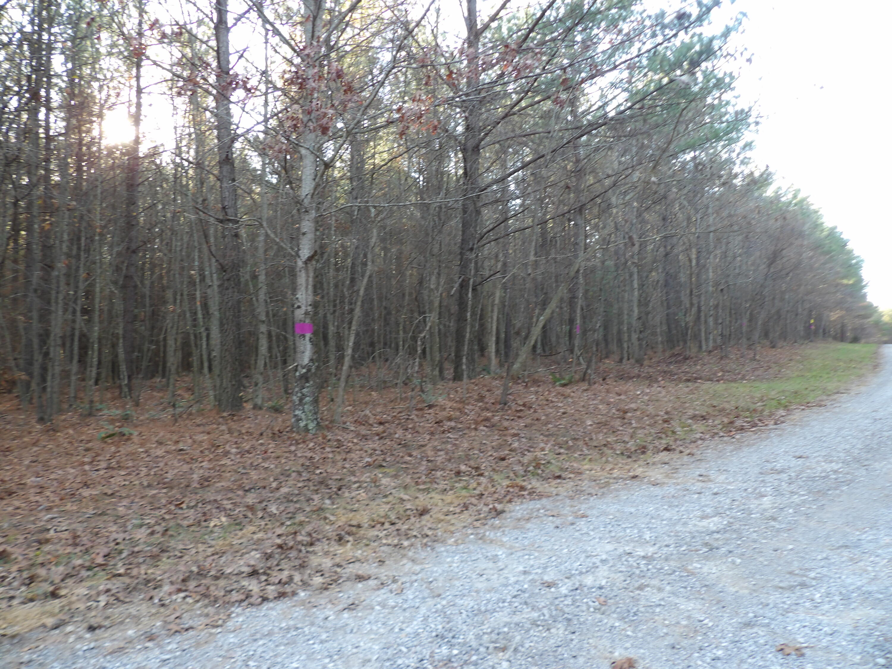 Lot 26 Summercity Road Evensville, TN 37332 - Photo 18 of 20 100_2130