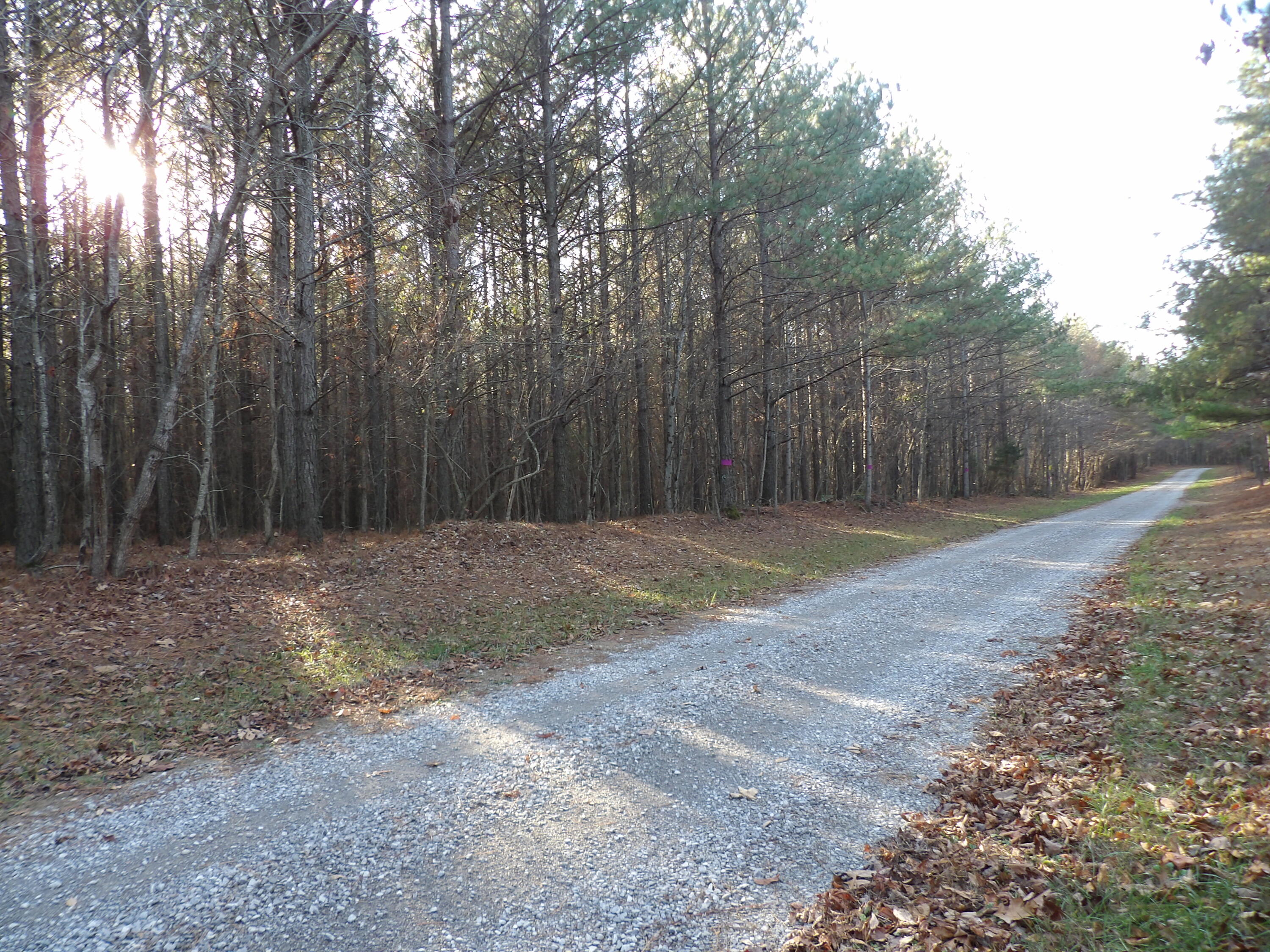 Lot 26 Summercity Road Evensville, TN 37332 - Photo 19 of 20 100_2131