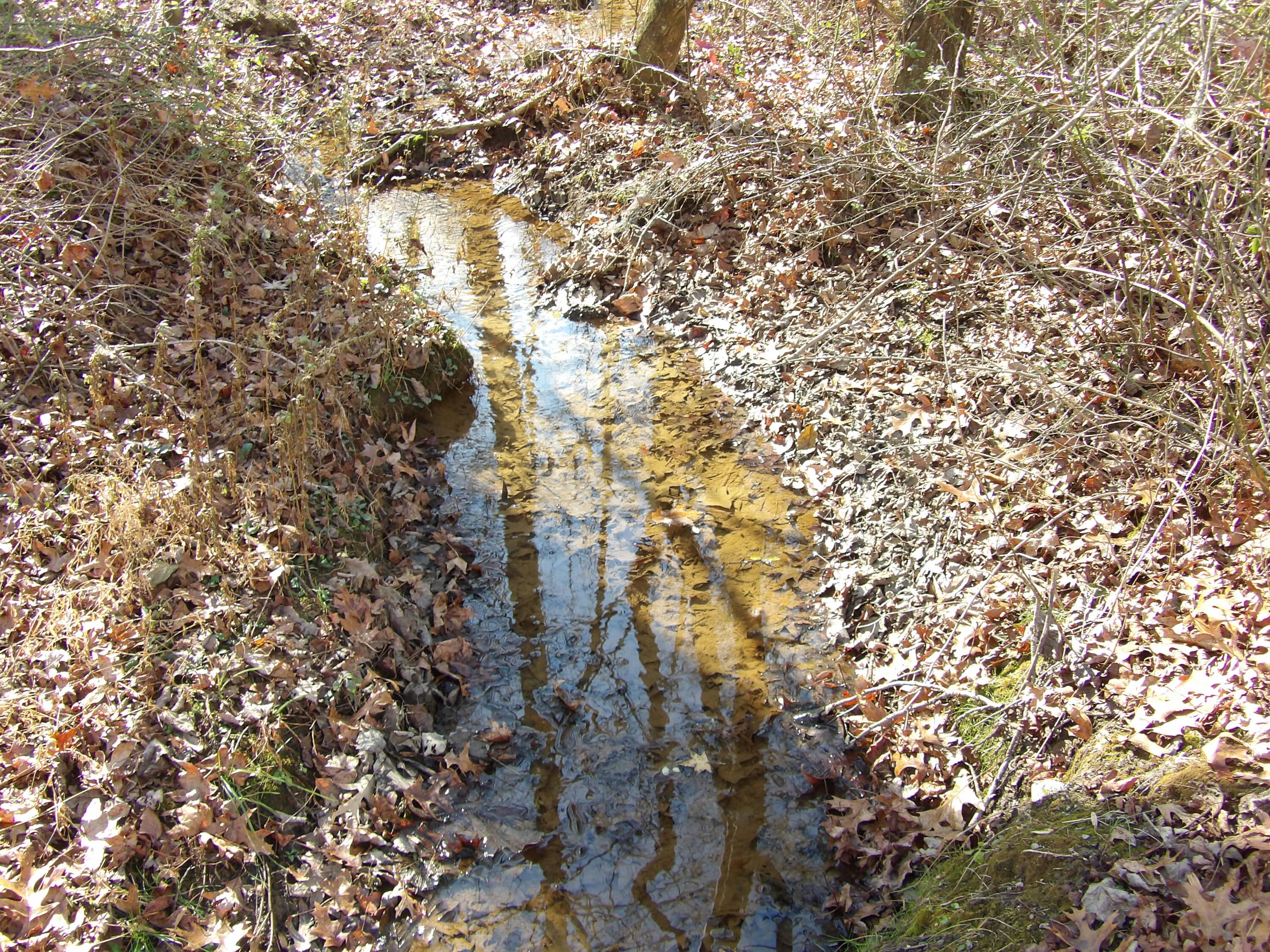 Lot 26 Summercity Road Evensville, TN 37332 - Photo 3 of 20 100_2101