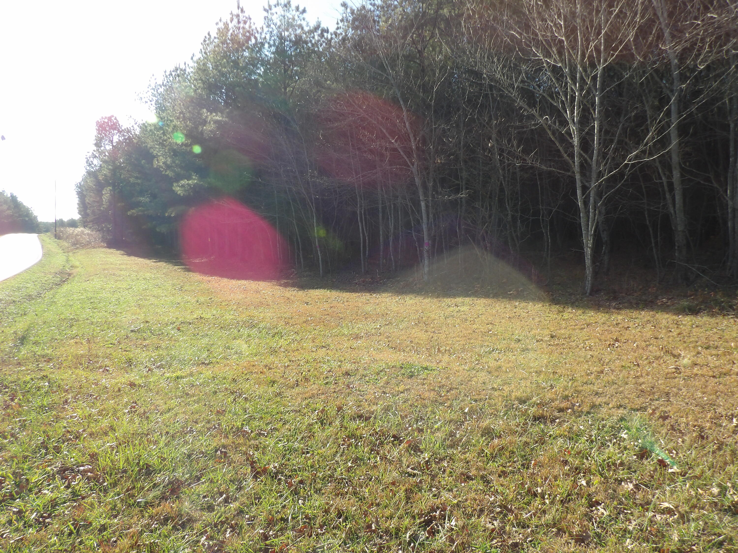 Lot 26 Summercity Road Evensville, TN 37332 - Photo 5 of 20 100_2117