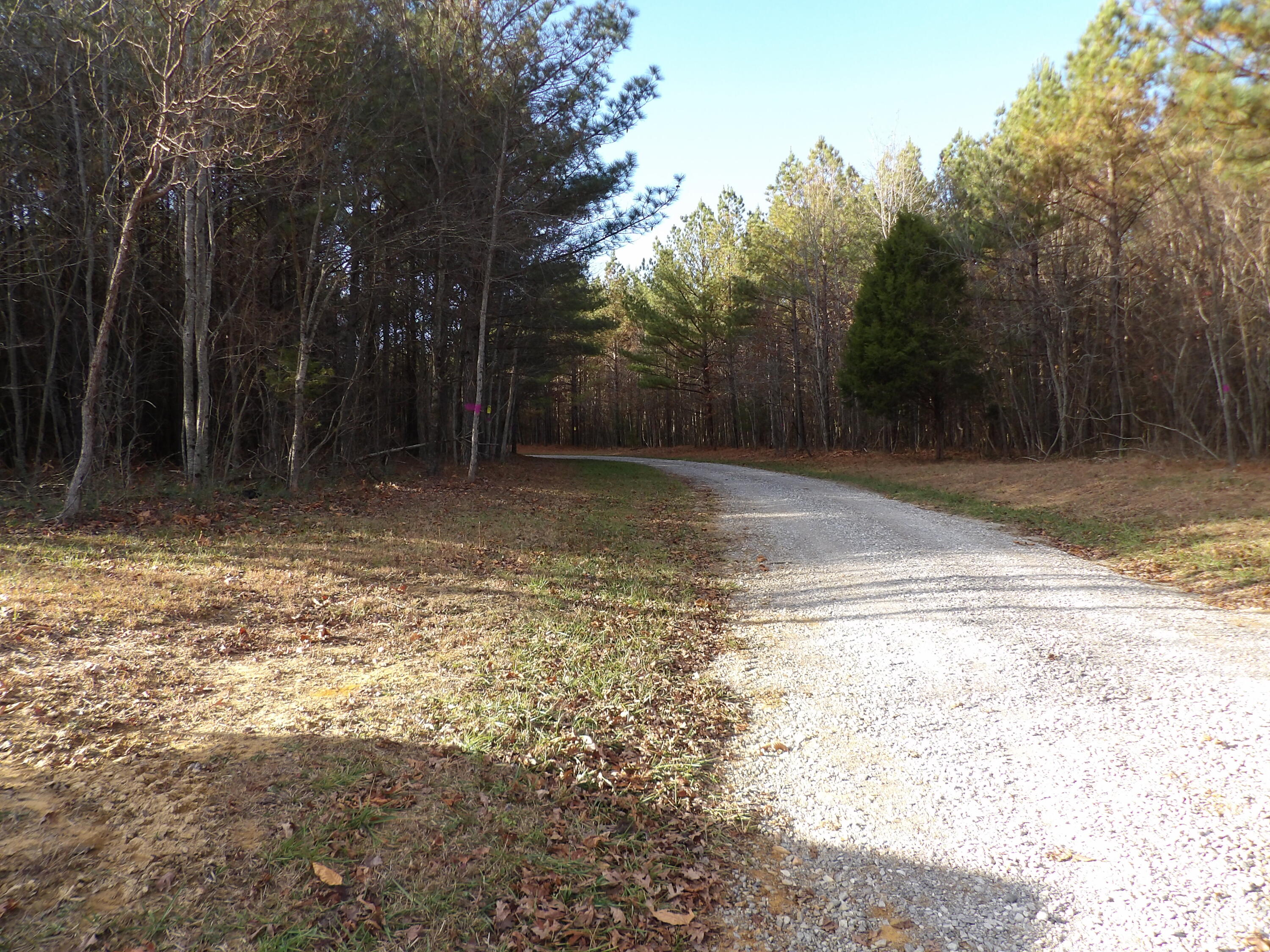 Lot 26 Summercity Road Evensville, TN 37332 - Photo 6 of 20 100_2118