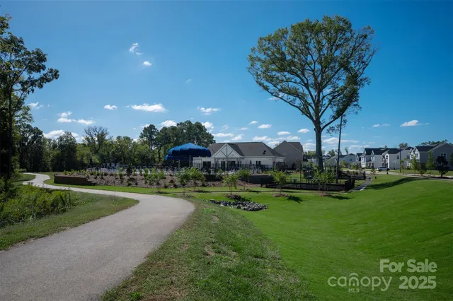 a view of a park with large trees