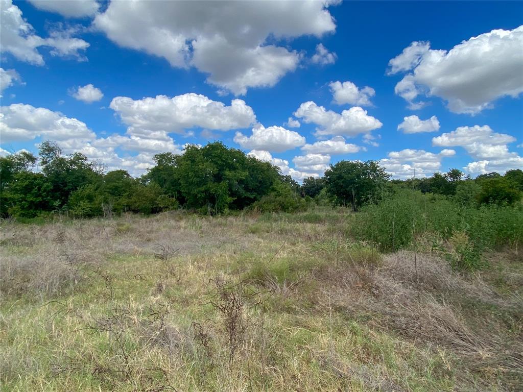 1700 Don Lee Road Joshua, TX 76058 - Photo 5 of 33