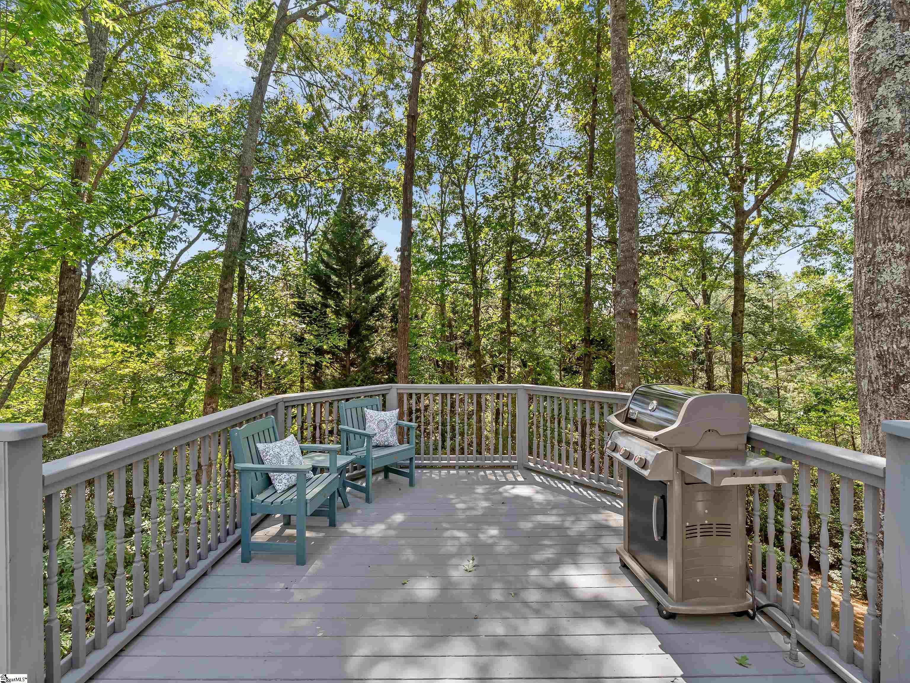 1 Thaxter Way Travelers Rest, SC 29690 - Photo 3 of 41