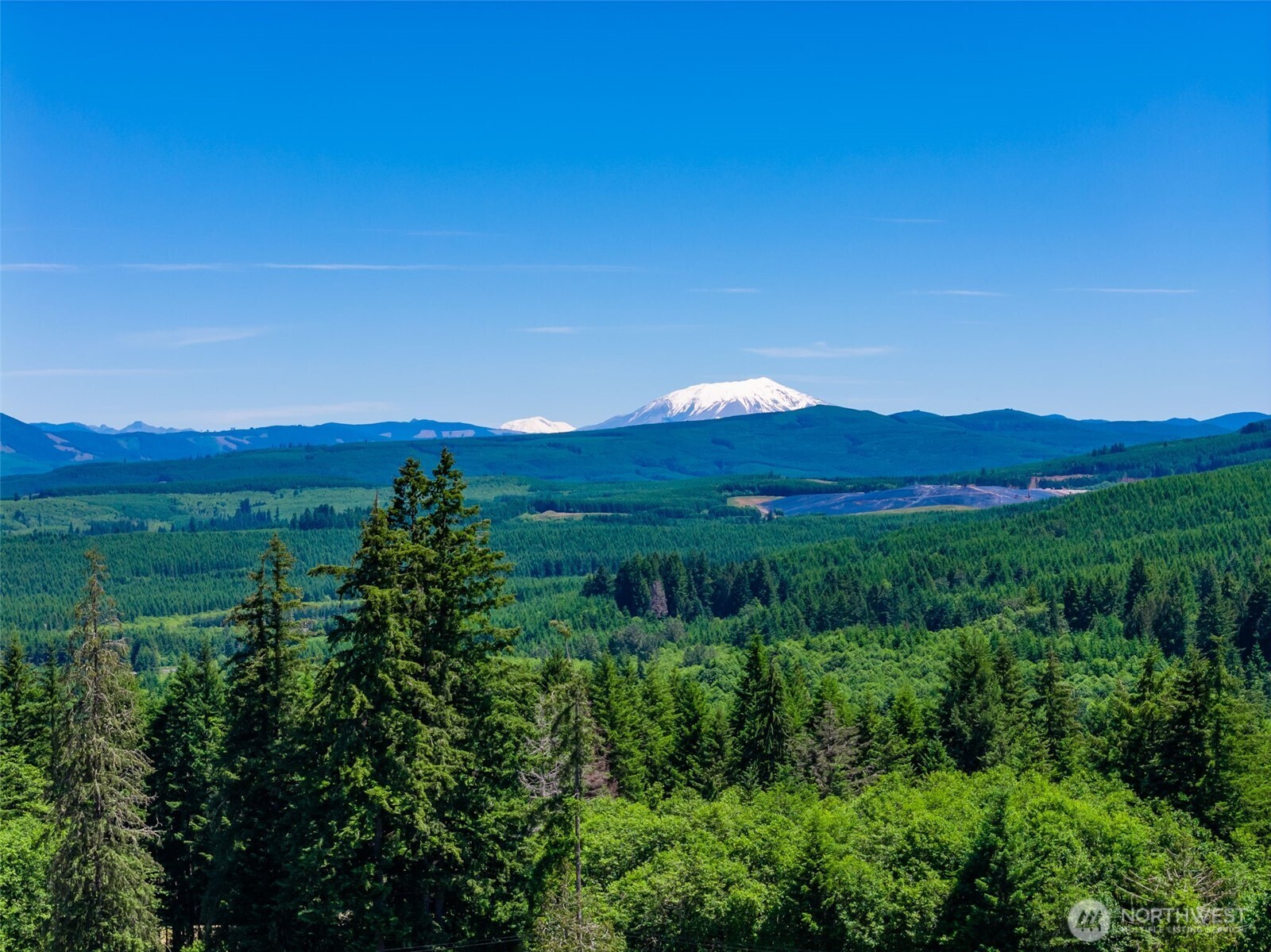 0 South Silver Lake Road Castle Rock, WA 98611 - Photo 2 of 20