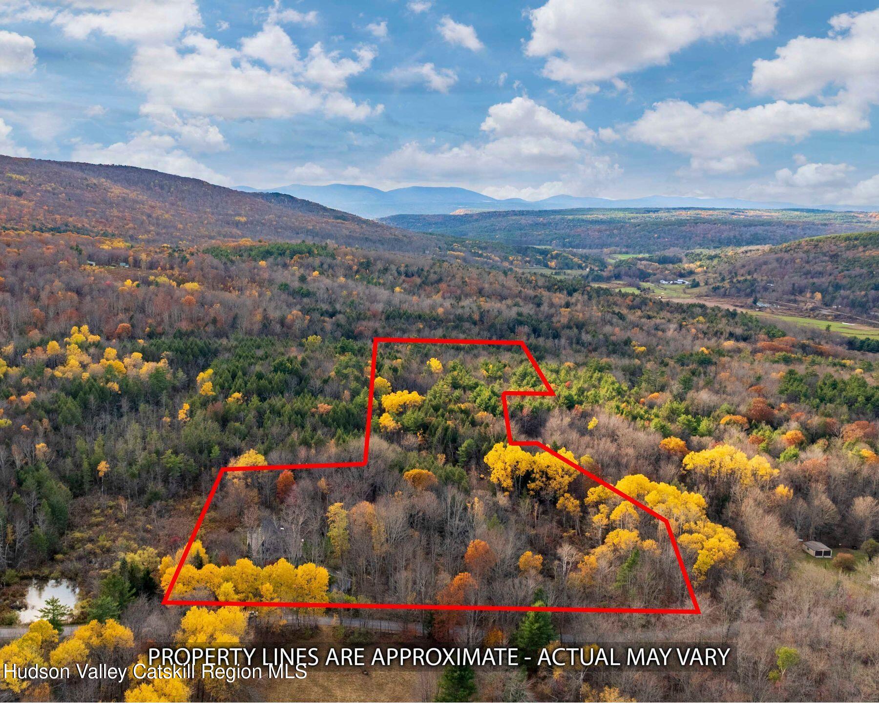 187 Beaver Hill Road Conesville, NY 12076 - Photo 9 of 79 photo_online_008