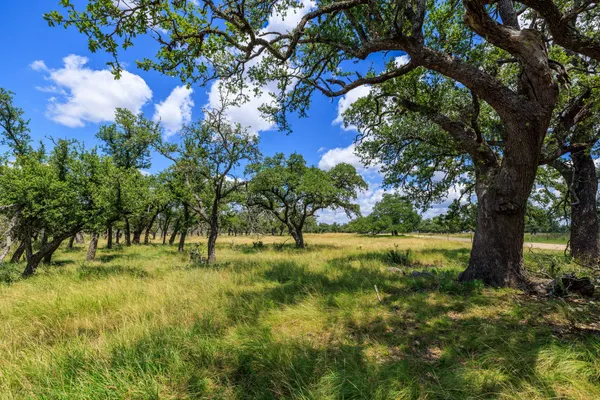 $259,000 | Lot 88 Stock Pond Drive, Harper, TX 78631
