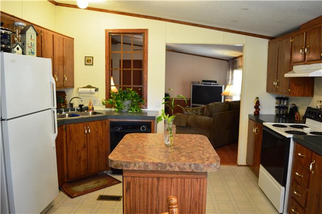 290 Canoe Branch Road Castalian Springs, TN 37031 - Photo 8 of 19