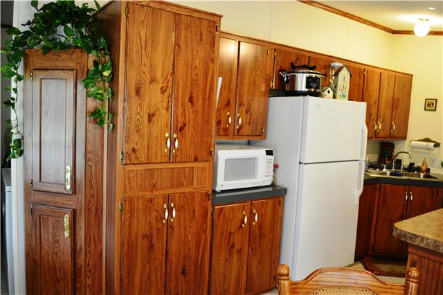 290 Canoe Branch Road Castalian Springs, TN 37031 - Photo 9 of 19
