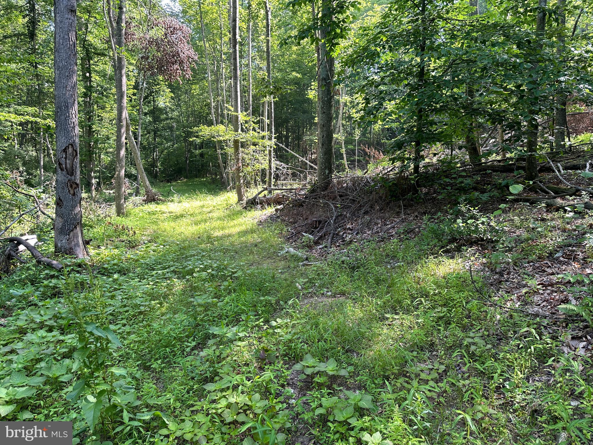 14118 Indian Springs Road Big Pool, MD 21711 - Photo 10 of 30