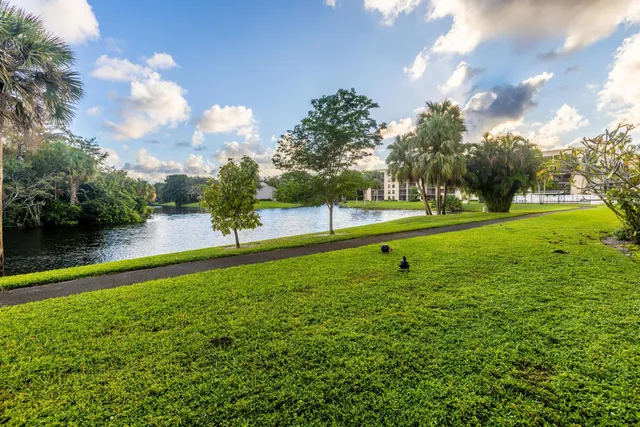 a view of a house with a big yard and potted plants