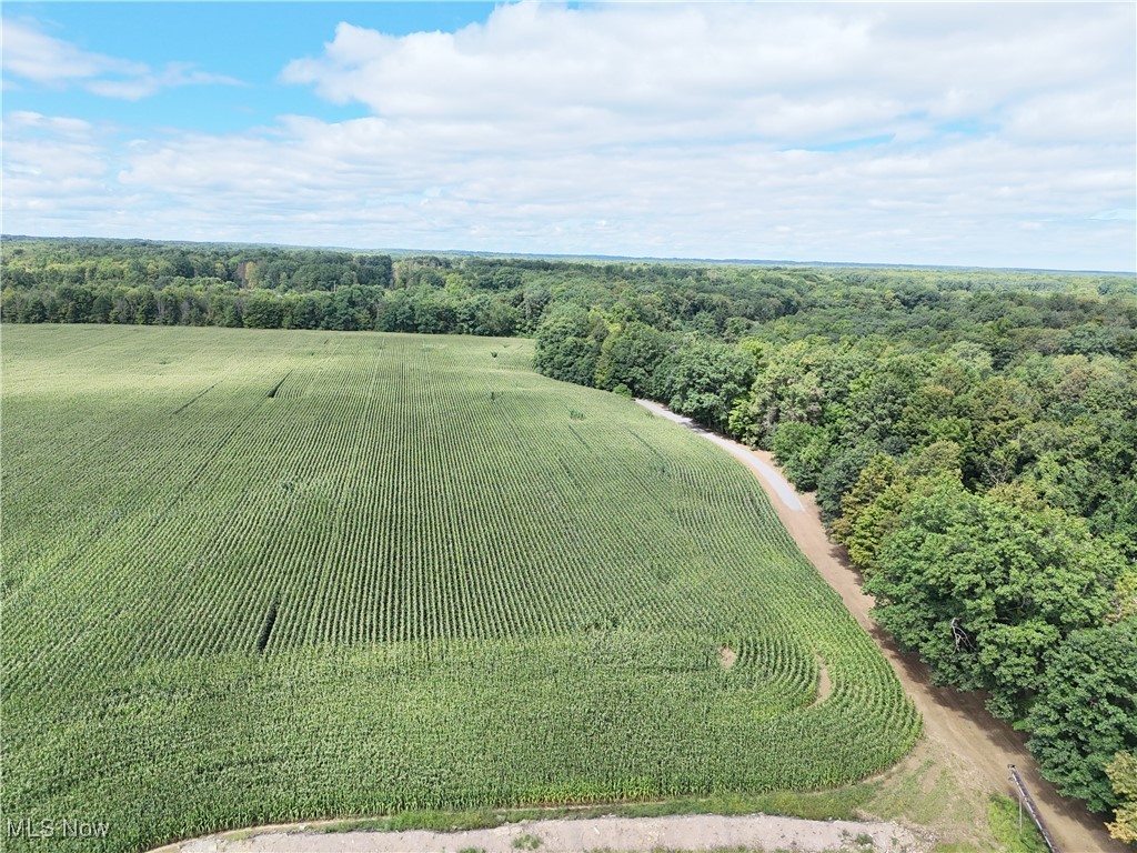 Fletcher Road Middlefield, OH 44062 - Photo 2 of 48 Overview of rural landscape with abundant farmland and a heavily wooded area