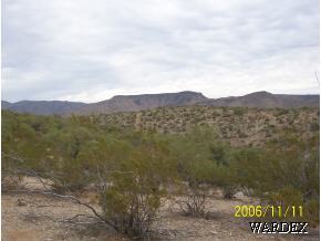 a view of a field with a mountain in the background