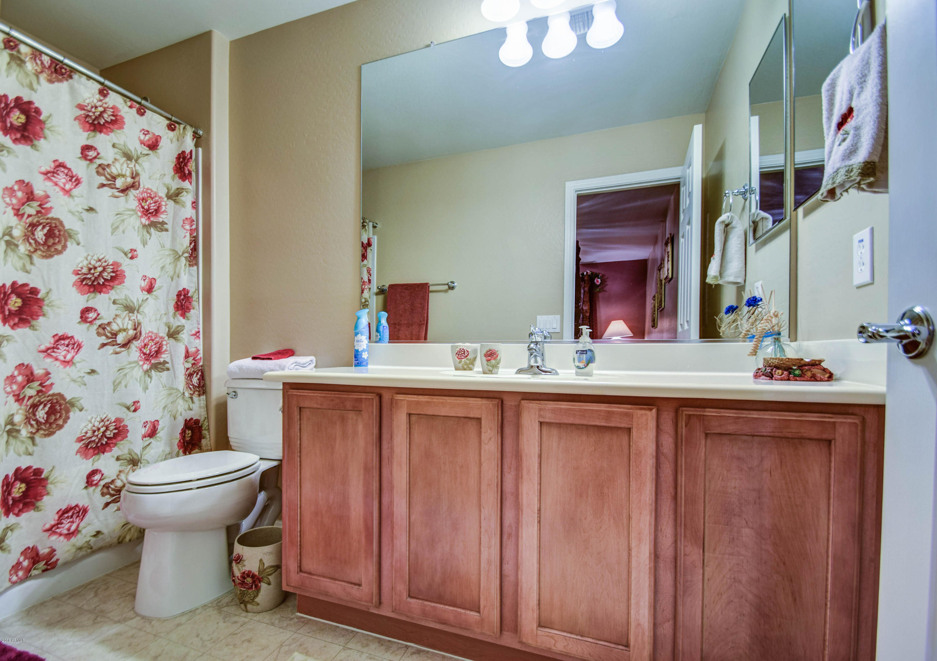 6346 West Victory Way Florence, AZ 85132 - Photo 16 of 85 bathroom 3-pic 1