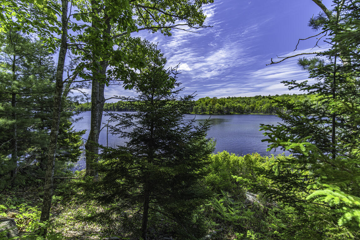 48 Douglas Loop Blue Hill, ME 04614 - Photo 10 of 28 2K9A8402