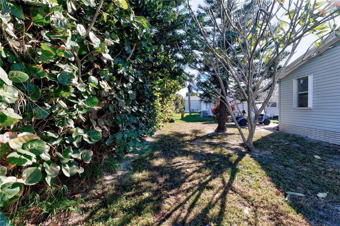 7571 Boxelder Road Micco, FL 32976 - Photo 25 of 36 a view of yard with tree