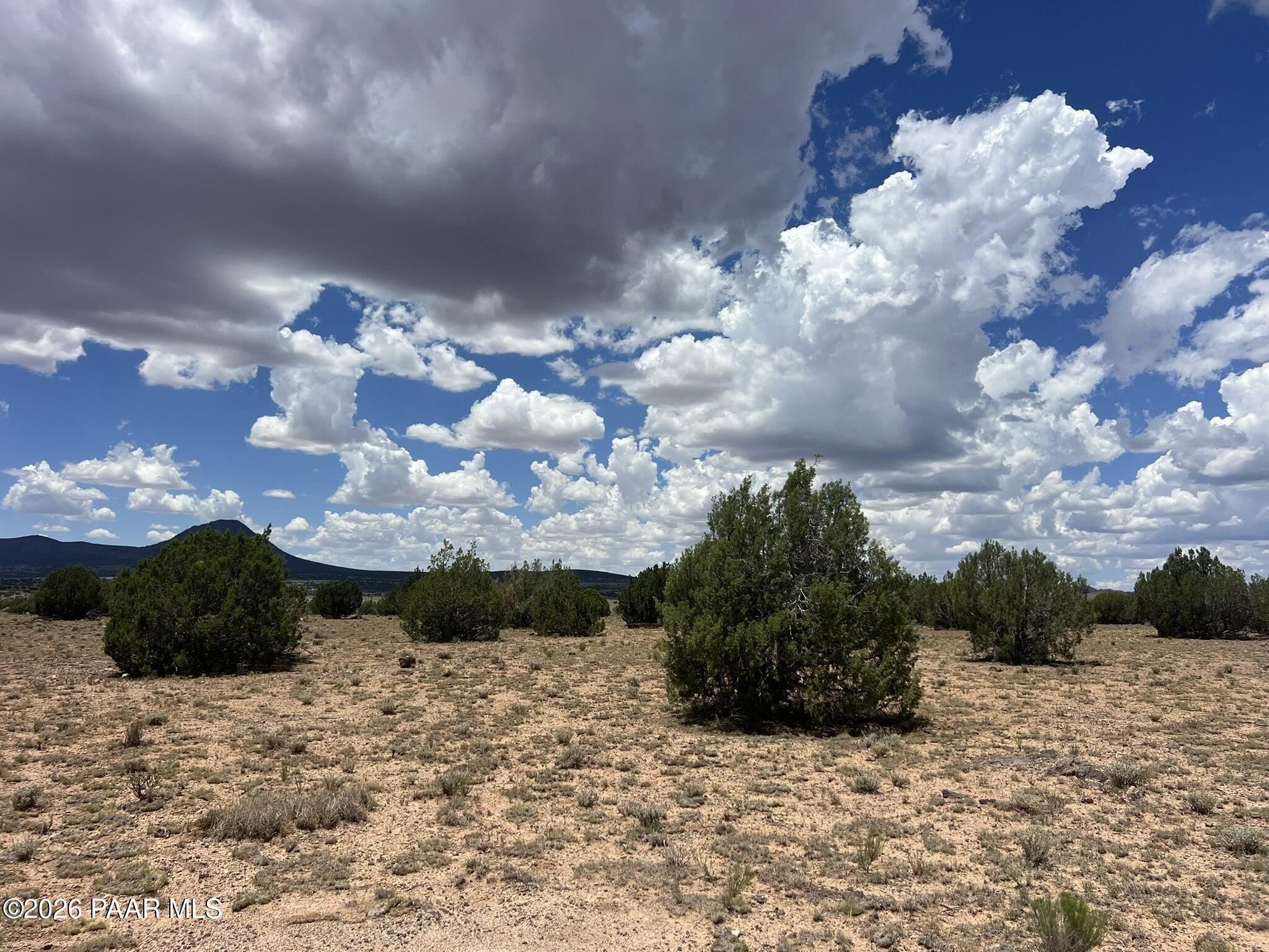 59 Rocky Rabbit Road Ash Fork, AZ 86320 - Photo 5 of 9 IMG_0172